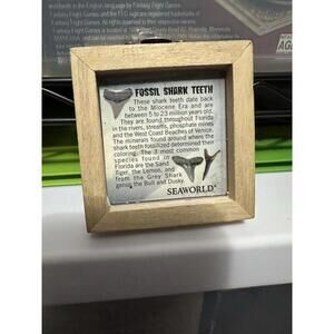 Sea World Shark Teeth Souvenir